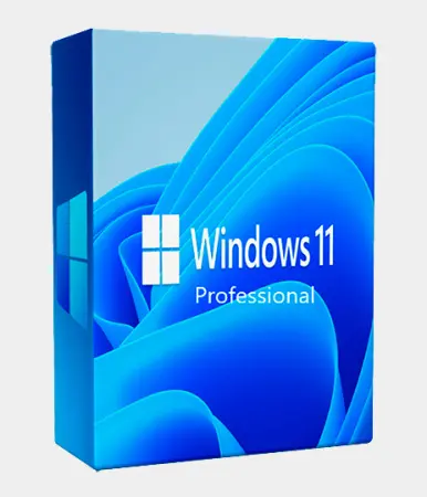 Windows 11 Pro